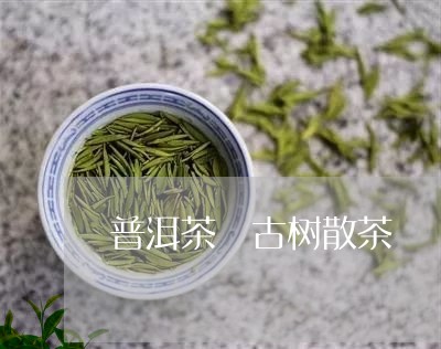 普洱茶 古树散茶/2023031739282